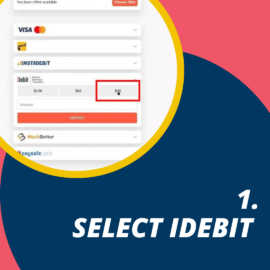 Select iDebit