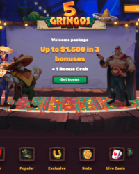 5Gringos