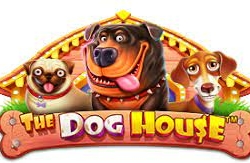 The Dog House